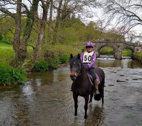 Person on a horse in a stream with bridge in background