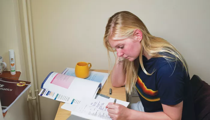 Young person with blond hair sitting at a desk studying