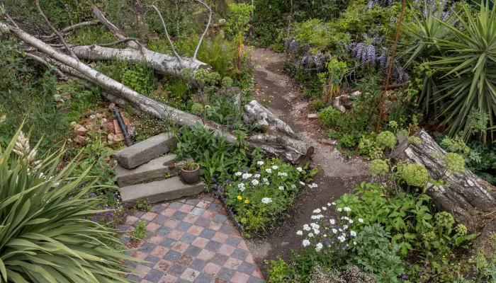 The Centrepoint Garden at the Chelsea Flower Show, featuring lots of green plants, a fallen tree and discarded paving, as a metaphor for homelessness
