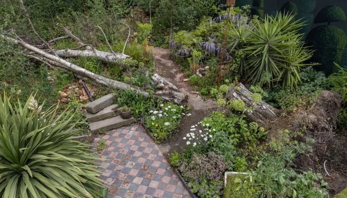 Centrepoint Garden at the Chelsea Flower Show 2023