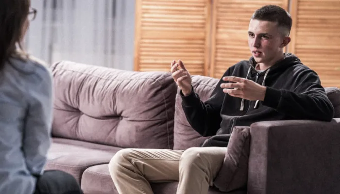A person seated on a sofa in a living room speaks with another person seated opposite. The person on the sofa is gesturing with both hands while engaged in conversation. The second person is visible in the foreground, out of focus. Soft indoor lighting and wooden paneling create a warm, informal setting.  Provide your feedback on BizChat