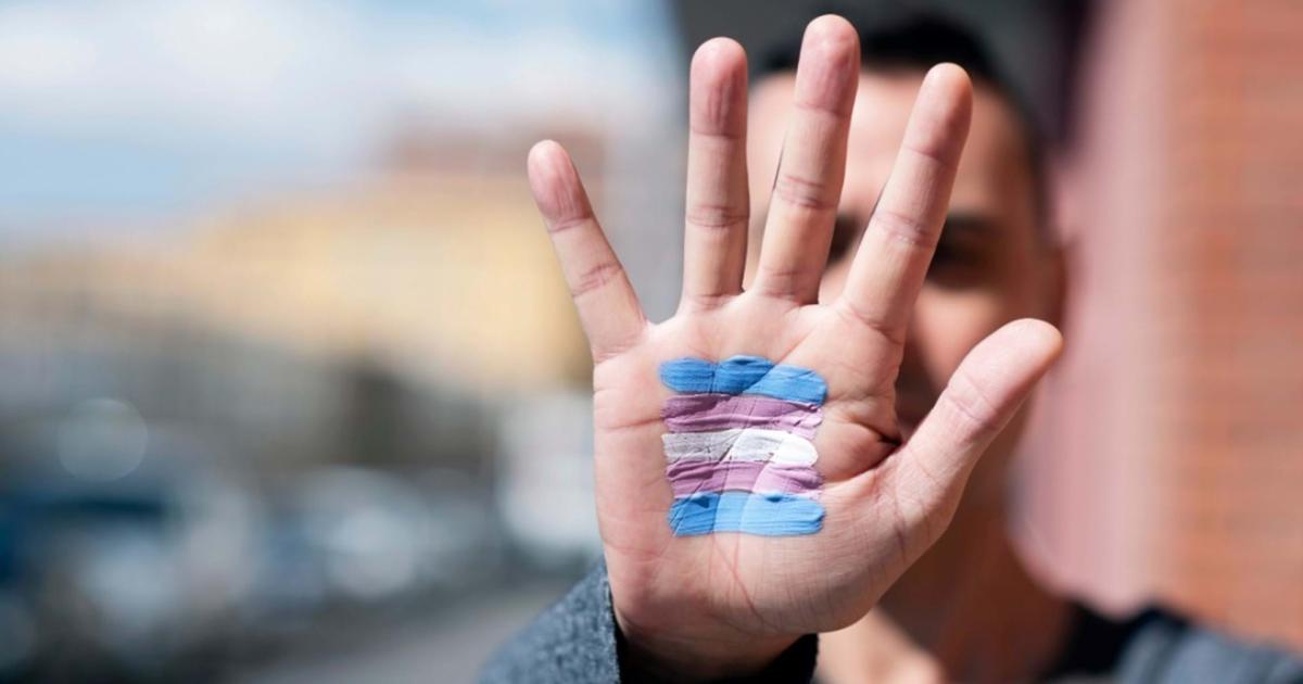 Photograph shows a person extending their hand towards the camera with a trans flag painted on their palm.