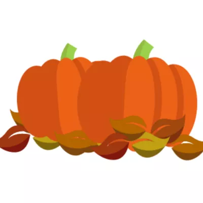 Orange pumpkins illustration